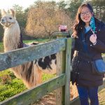 An Asian woman wearing a black coat is pulling her mask from her face to show her smile while standing next to a llama at Divine Llama Vineyards.